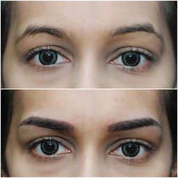 Eyebrow Embroidery