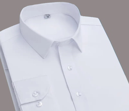 Mens solid colour long sleeve office shirt