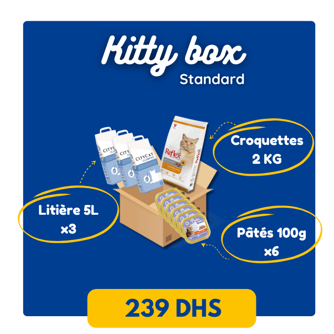 Kitty Box Standard