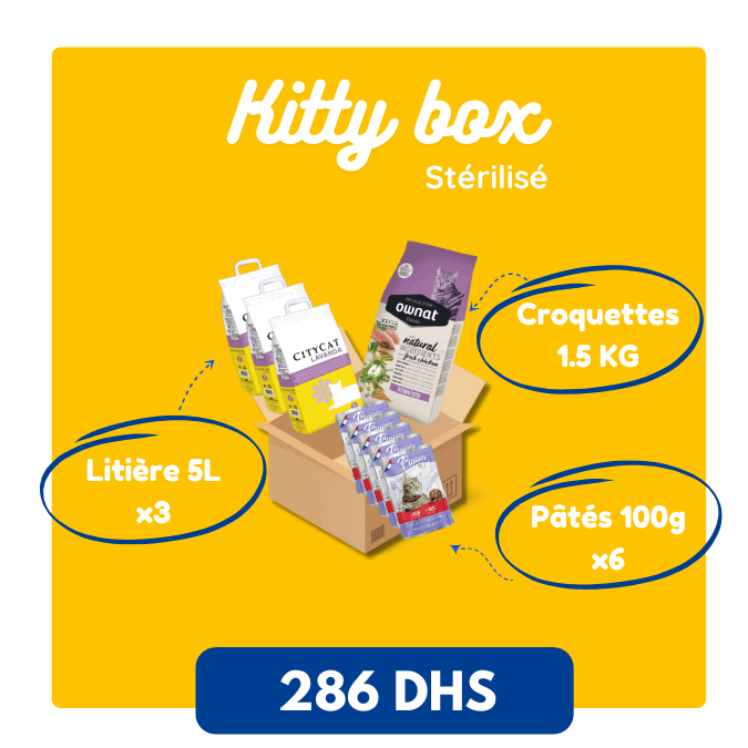 Kitty Box pour Chat Stérilisé