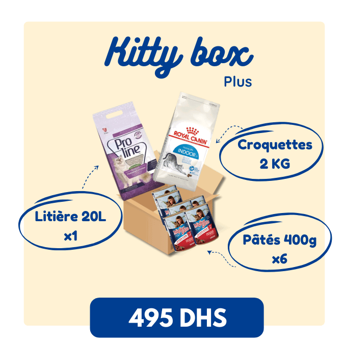 Kitty Box Plus