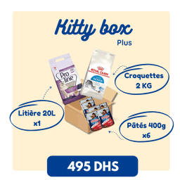 Kitty Box Plus