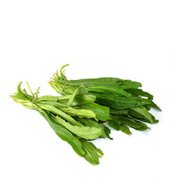 Culantro Mazo ( ~ 1 LB Aprox.)
