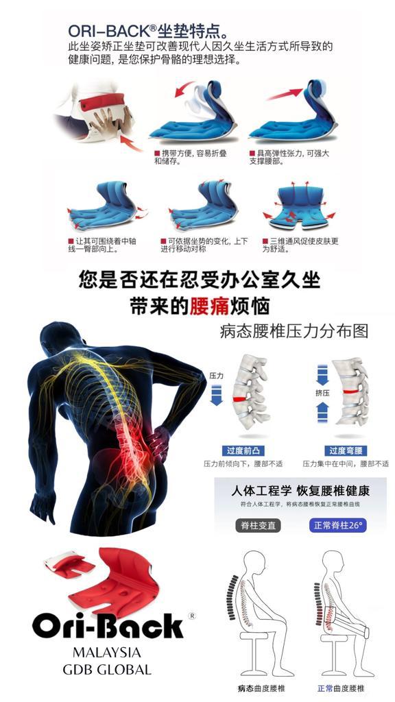 Oriback Brochure1_1