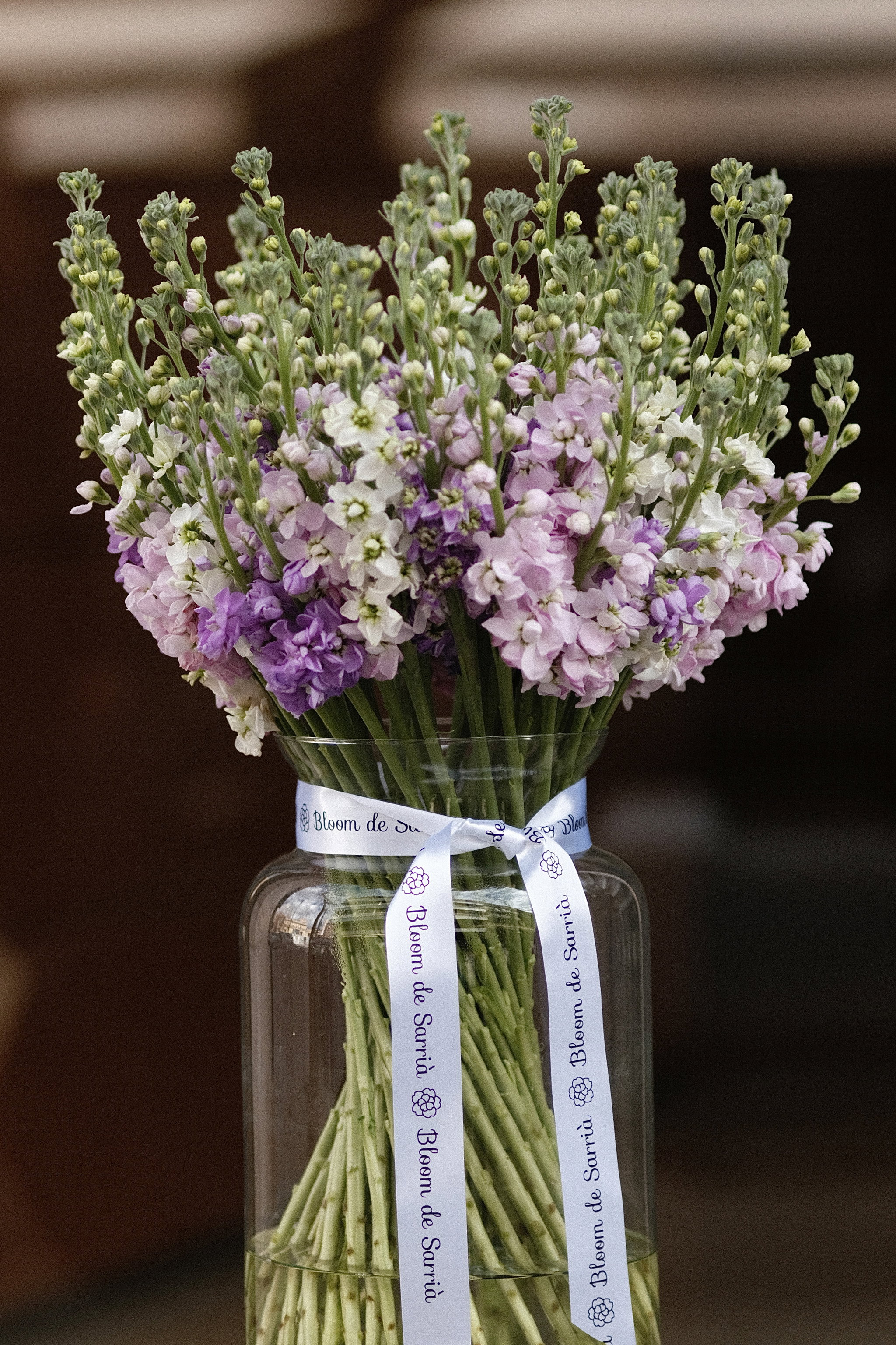 Matthiola In A Vase_0