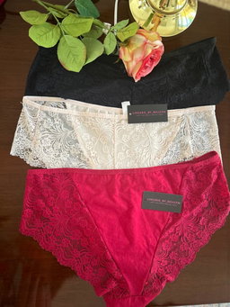 High end lace panty Plus size