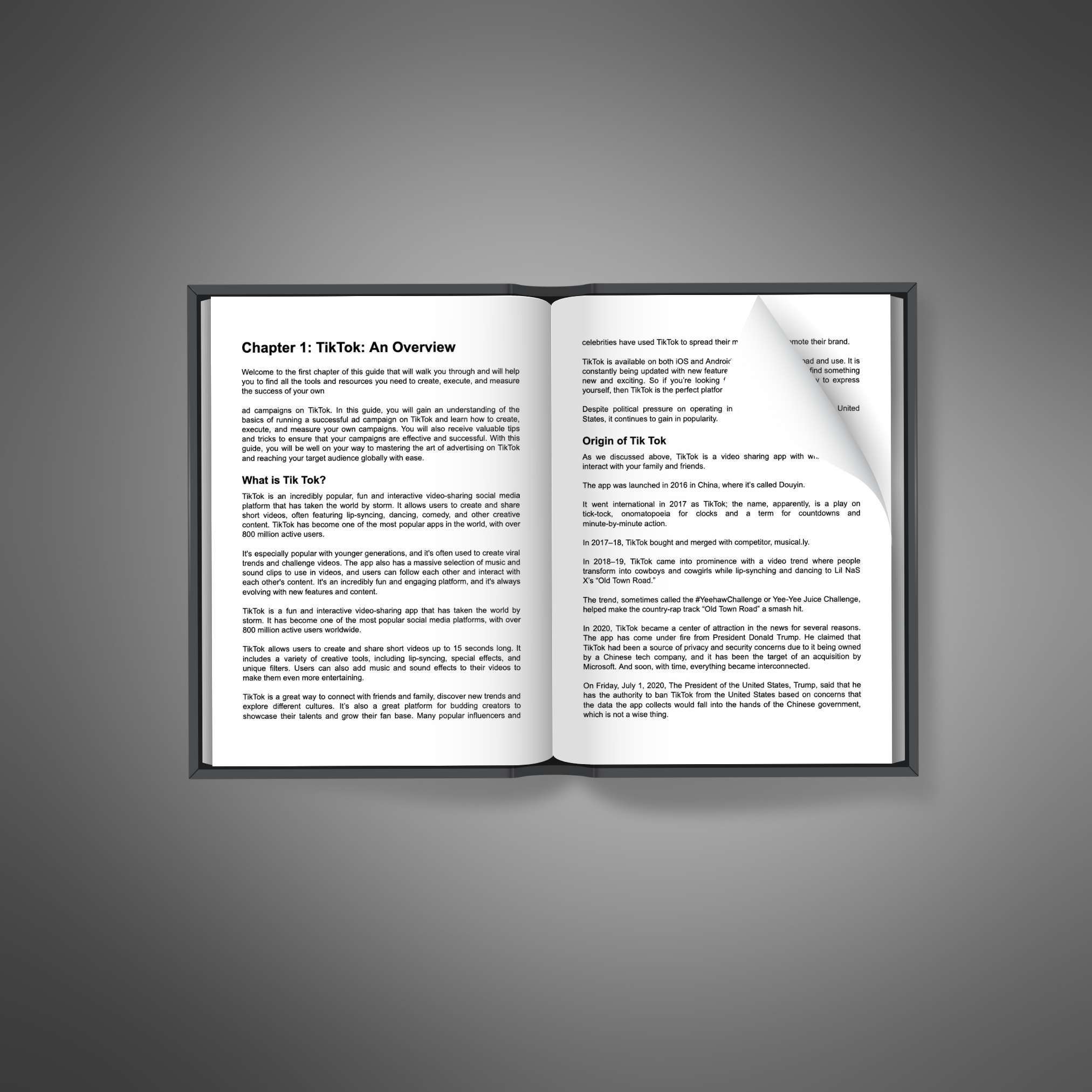 TikTok Ad Training Kit_1