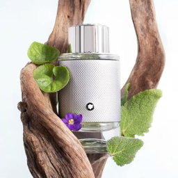 Montblanc Explorer Platinum Edp 100ml Perfume 