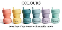 Personalised Stojo Spring Collection Authentic Collapsible Cups | For Him For Her Eco-Friendly Gift