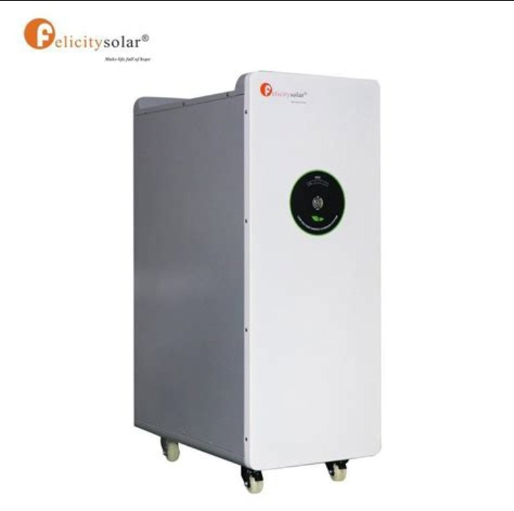 Felicity 15kwh/48v Lithium battery (LiFePO4)_0