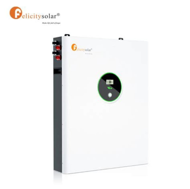 Felicity 10kwh/48v lithium-ion battery (LiFePO4)_0
