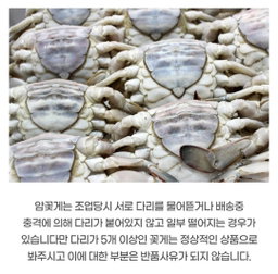 서산 냉동 암꽃게 10kg 50미 꽃게 Seosan Frozen Female Blue Crab 10kg (50 pcs)