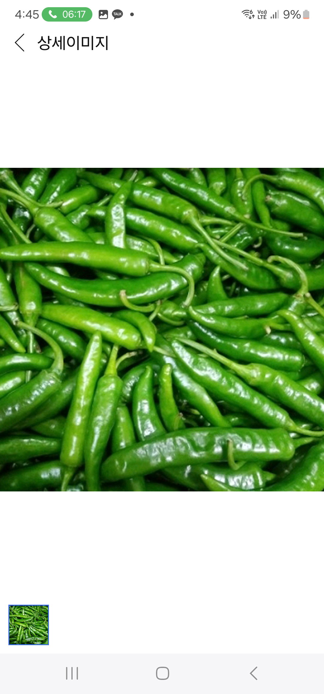 맛있게 매운 청양고추, 1kg, Spicy Cheongyang Chili 1kg_0
