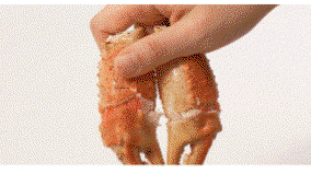 대게 2kg이상 (2마리) King Crab Over 2kg (2 pcs)_2