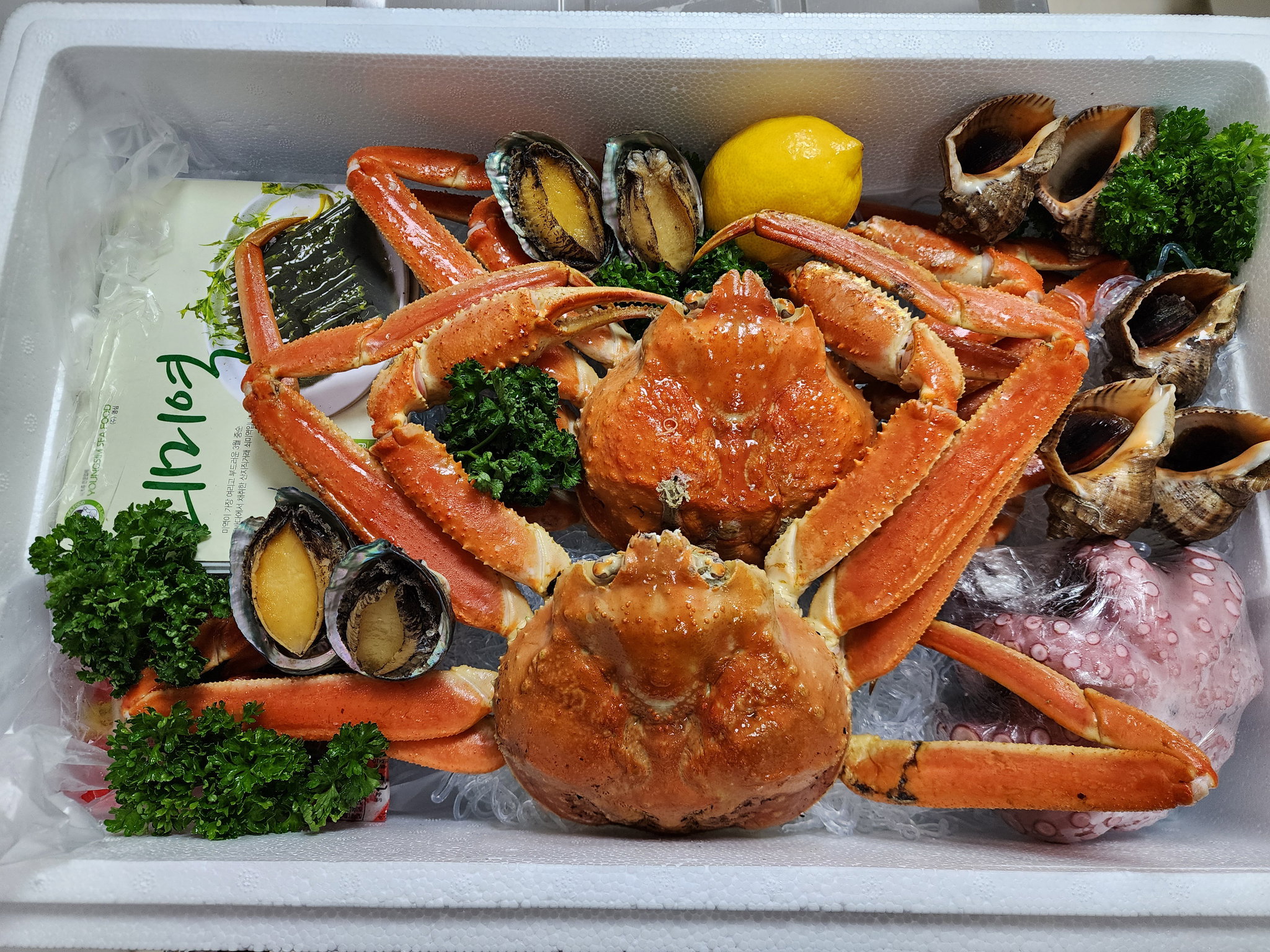 대게2마리&해산물셋트 2 King Crabs + Seafood Set_1