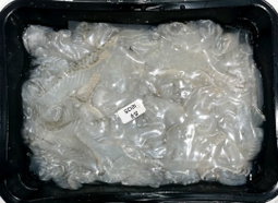 국내산 도다리 강도다리회 새꼬시 순살,300g  Korean Flatfish & Flounder Sashimi (300g)