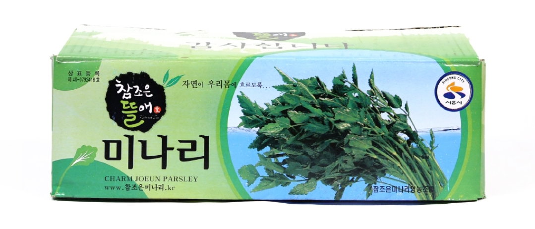 λ―Έλ리4kg Water Parsley 4kg