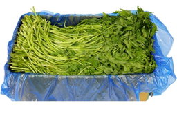 미나리4kg Water Parsley 4kg
