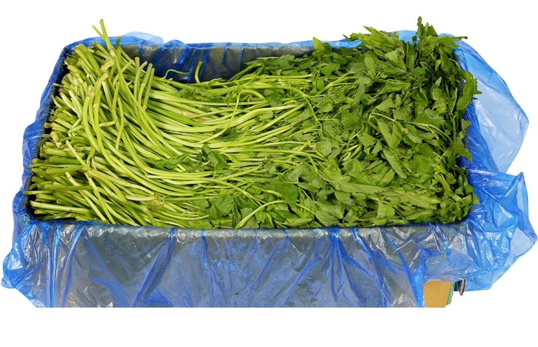 미나리4kg Water Parsley 4kg_2