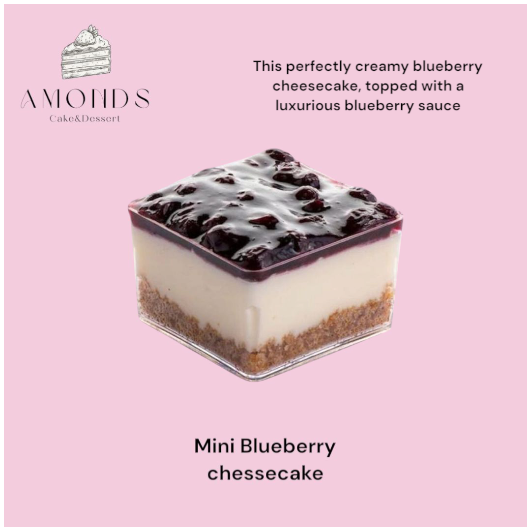 Mini Blueberry Cheesecake ( for 1 person )