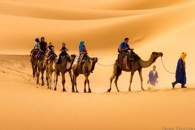 Private Overnight Desert Tour: An Unforgettable Adventure Under the Stars 🌙🏜️_4