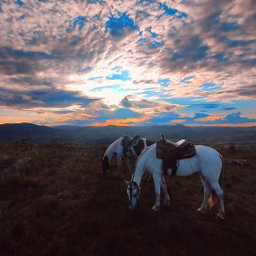 🌄LAVRAS NOVAS A CAVALO