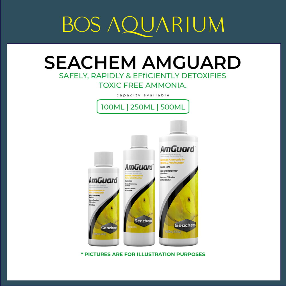 Seachem AmGuard - Ammonia Remover Am Guard ( 100ml / 250ml / 500ml ) Am Guard