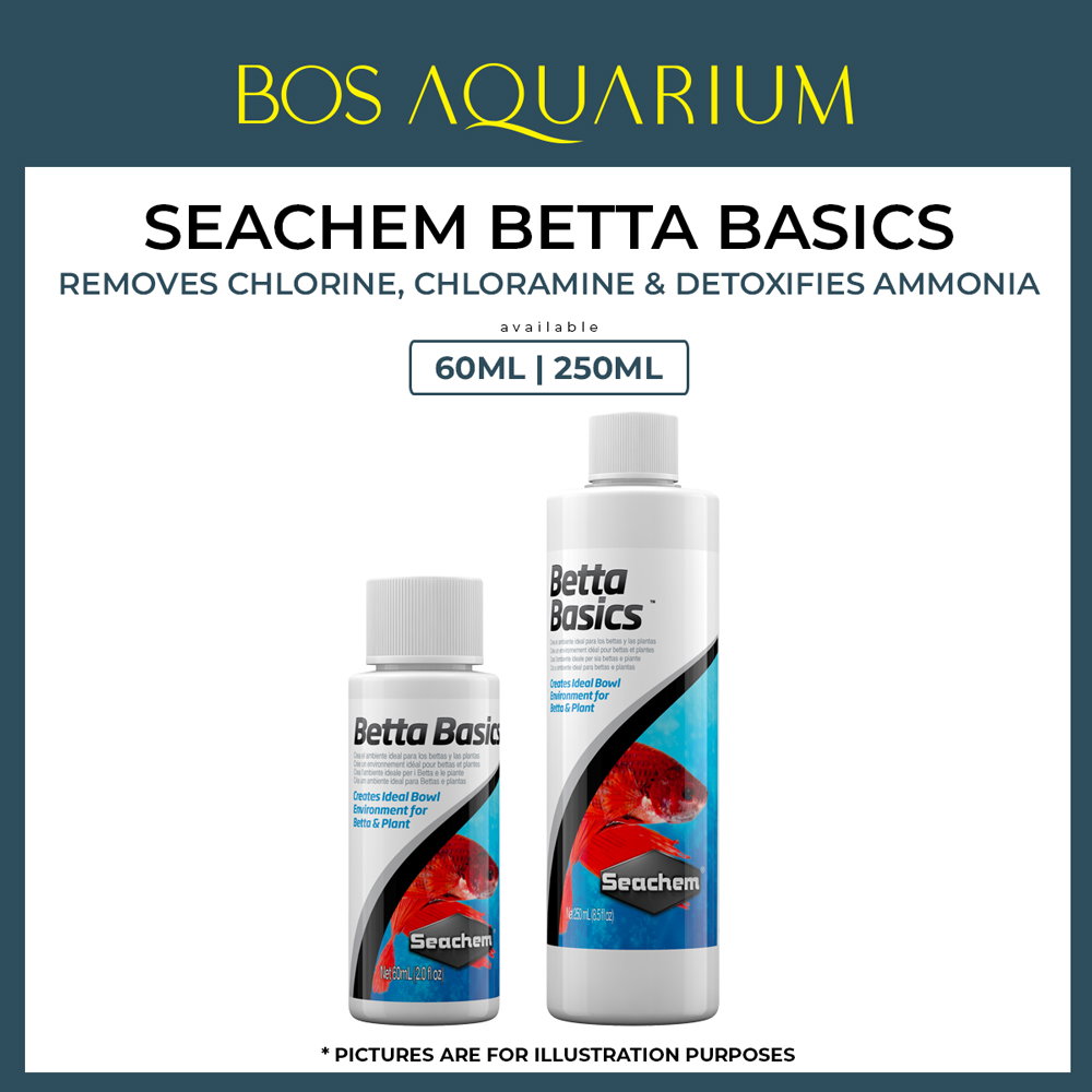 Seachem Betta Basics - Removes chlorine, chloramine & detoxifies ammonia ( 60ml | 250ml )_0