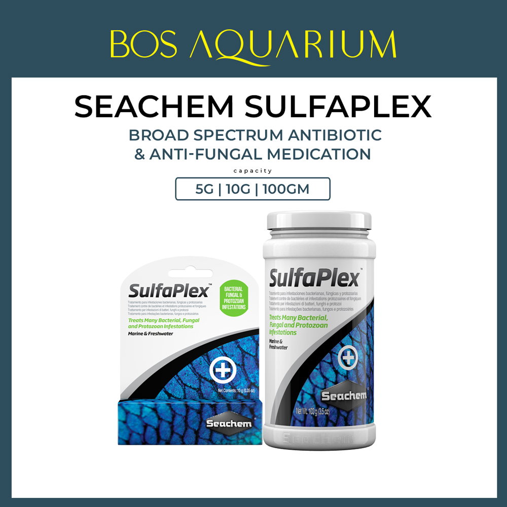 Seachem Sulfaplex - To Treat Fish Fin Rot, Hemorrhagic Septicemia, Fur Coat Synrome, Mouth Rot, Fungus ( 10G / 0.35oz )