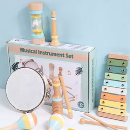 Musical Instrument Set