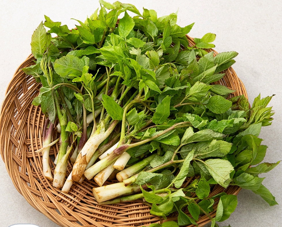 두룹250g  Toothed Ixeris Shoots 250g_2