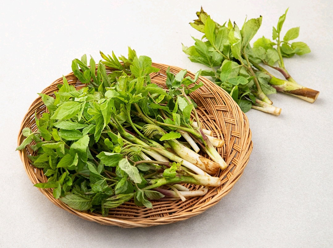 두룹250g  Toothed Ixeris Shoots 250g_1