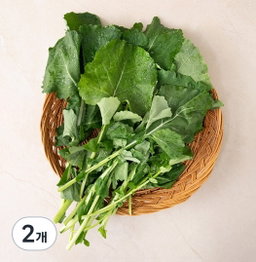 유채 250g×2  Canola Greens 250g x2