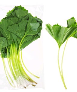 머위 150g 2개  Butterbur 150g x 2