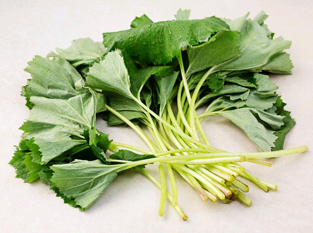 머위 150g 2개  Butterbur 150g x 2_2