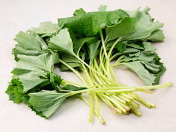 머위 150g 2개  Butterbur 150g x 2