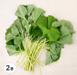 머위 150g 2개  Butterbur 150g x 2