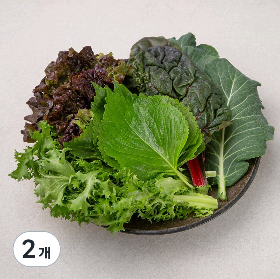 ๋ฏธ๋ ์์ผ์ฑ 200g 2๊ฐ Mini Lettuce Wrap Vegetables 200g x2