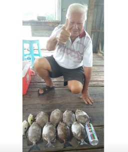 Pancing Rakit Senior