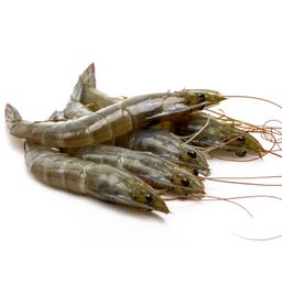 VANNAMEI SHRIMPS_0