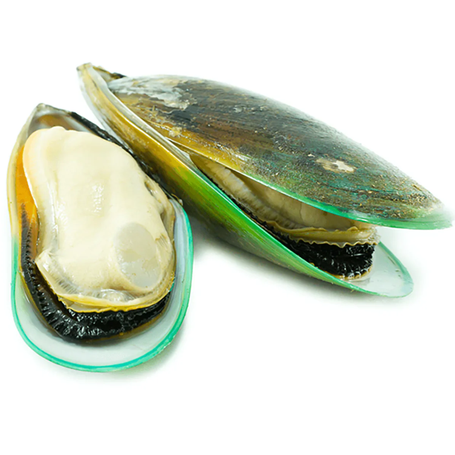 GREEN MUSSELS
