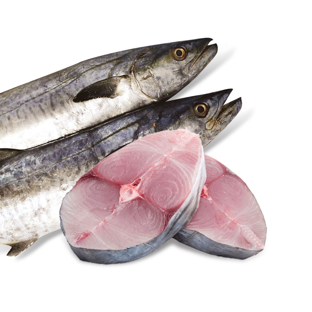 KING FISH