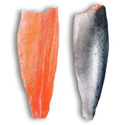 SALMON FILLET