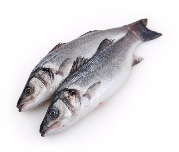 SEA BASS_0