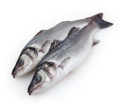 SEA BASS