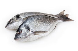 SEA BREAM