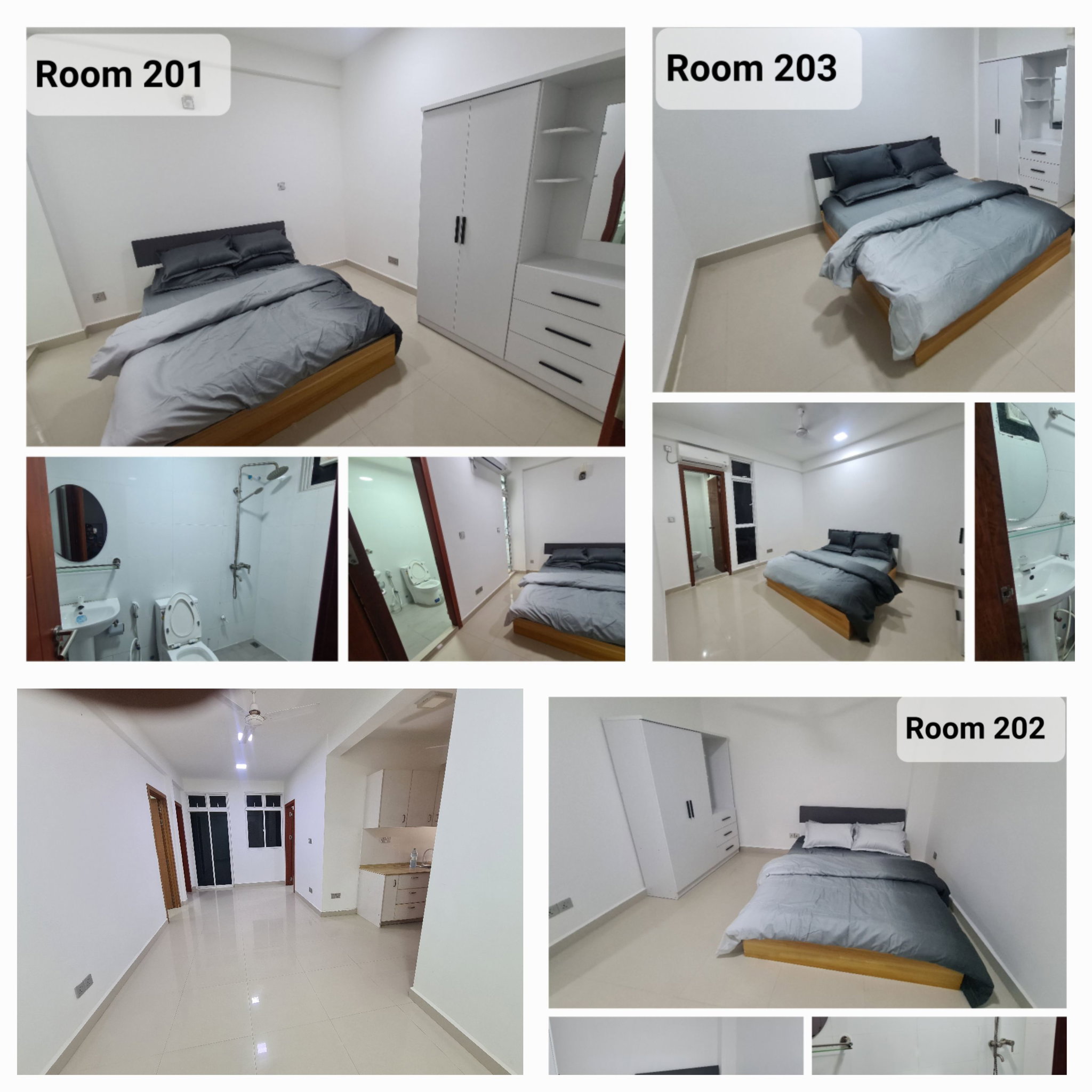 3 Room Apartment_0
