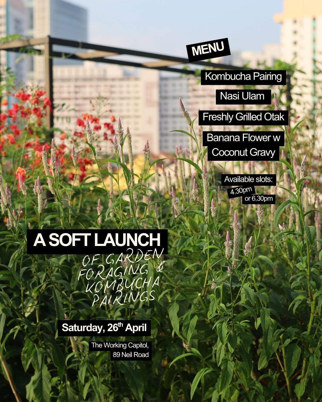A Soft Launch: Of Garden Foraging & Kombucha Pairings [4.30pm]_0