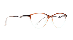 DISCOVERY SHEET 15M 15_450 |TR21008 |Full Rim |Fibre |BROWN-Fibre |51-16-140