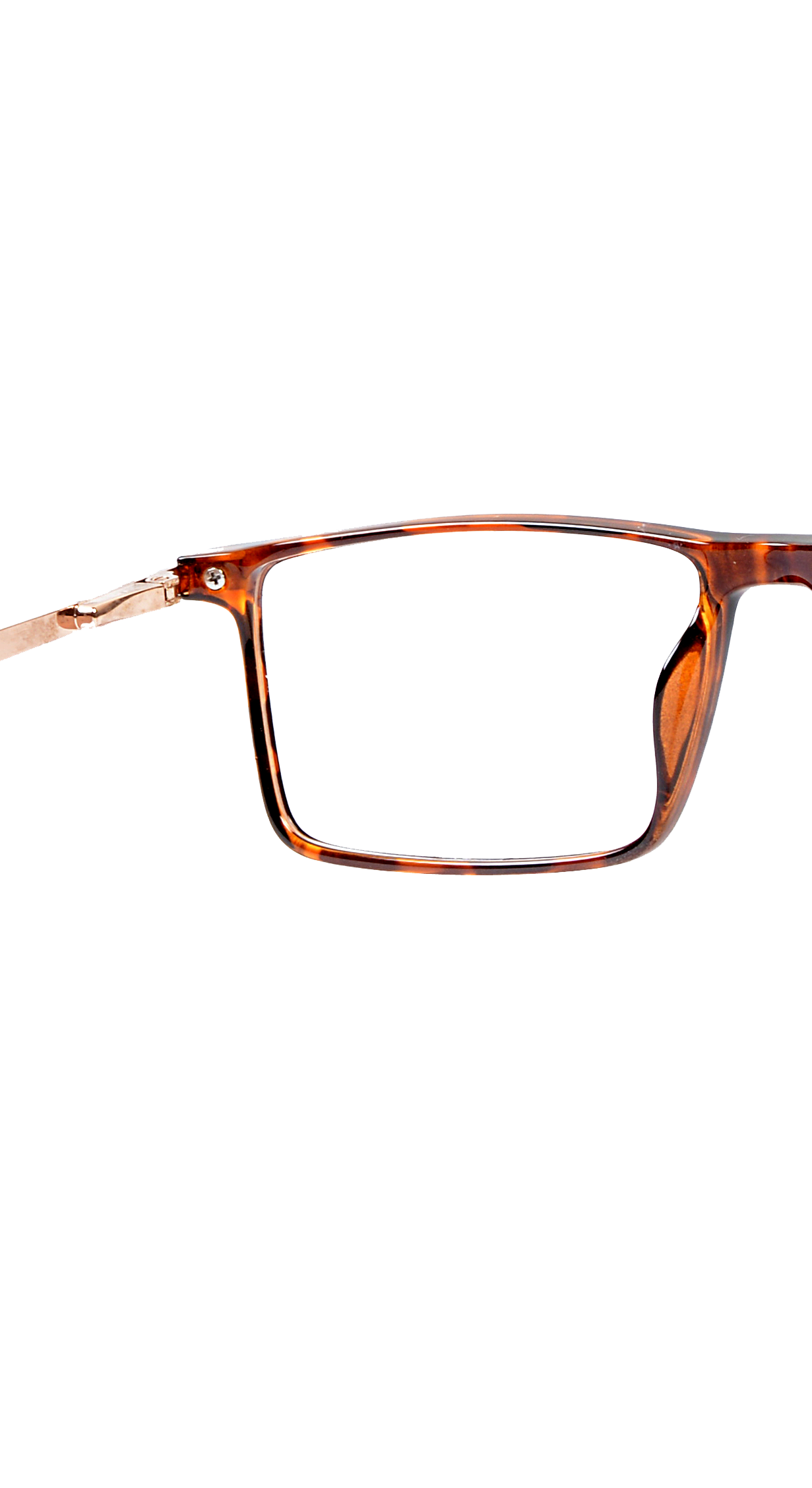 DISCOVERY  SHEET 15M 15_450 |TR21015 |Full Rim |Fibre |BROWN-Fibre |52-17-140_4
